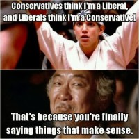 Liberals conservatives