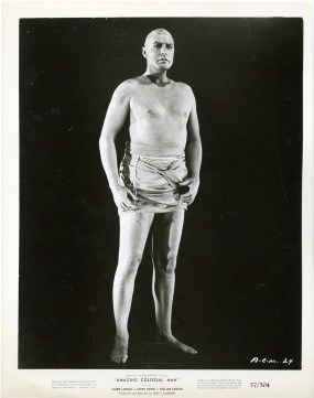 In this corner ... the 6o ft tall Glenn Manning aka The Amazing Colossal Man!