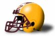 Charleston Golden Eagles helmet NEW