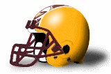 Charleston Golden Eagles helmet NEW