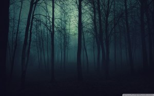 Dark Forest