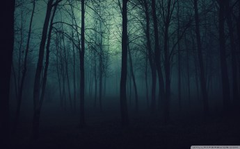 Dark Forest