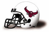McMurry Warhawks helmet NEW