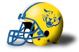 Mount Saint Joseph Lions helmet