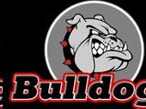 Bunker Hill College Bulldogs
