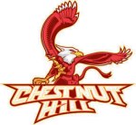 Chestnut Hill College Griffins