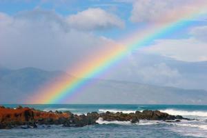 Hawaii rainbow