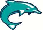 Brunswick (NC) Dolphins logo Better