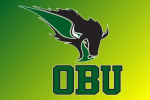 Oklahoma Baptist University Bison BIG