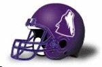 College of Idaho Coyotes NEW HELMET