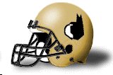 wofford terriers helmet