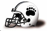 bowdoin-college-polar-bears-helmet