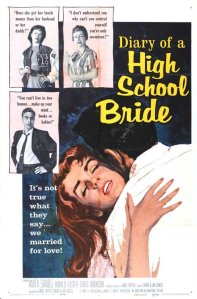 diary-of-a-high-school-bride