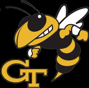 Georgia Tech Yellow Jackets