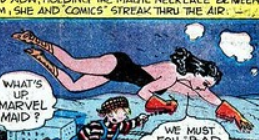 marvel maid in flight