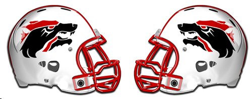 wichita-falls-coyotes