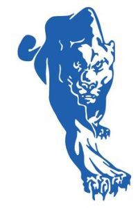 York College logo Panther full