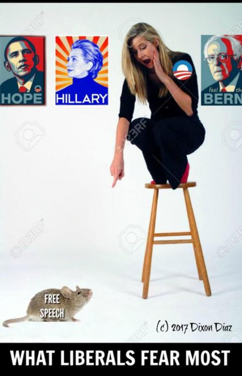 political cartoon liberal on stool