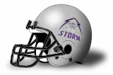 ASA Miami Silver Storm
