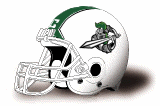 Shasta College Knights helmet NEW