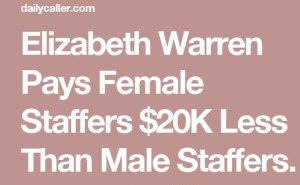 Elizabeth Warren interns