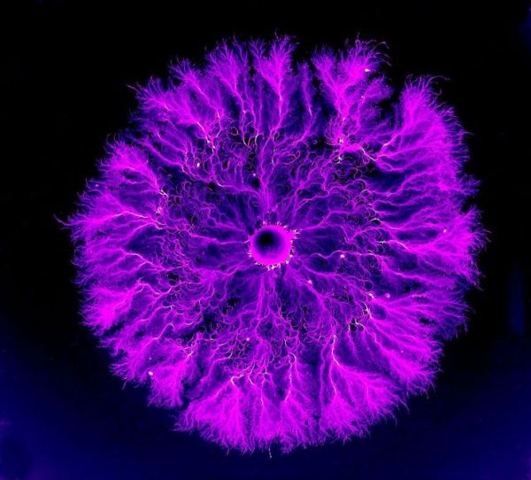 Purple Death