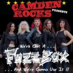 We've Got A Fuzzbox And We're Gonna Use It!!