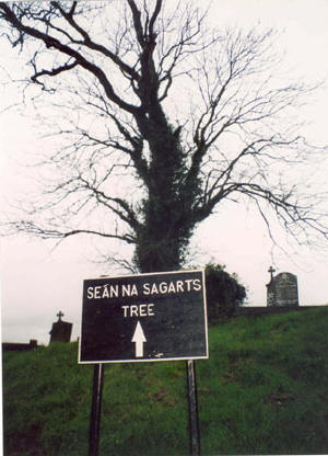 Sean na Sagart's tree