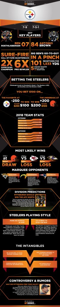 Steelers infograph