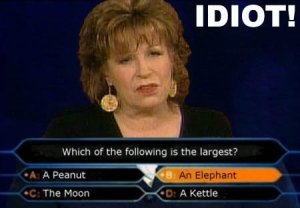 Joy Behar Idiot