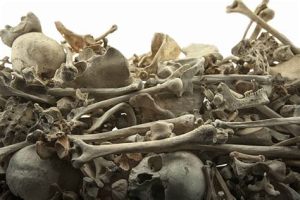 pile of human bones