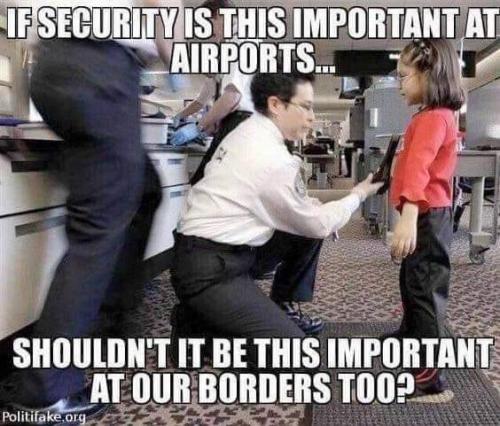 illegal immigration security