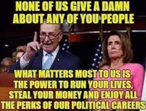 pelosi and schumer love illegal immigrants
