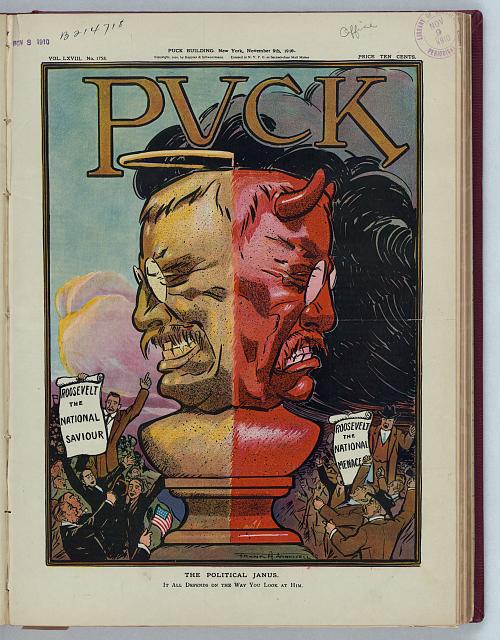 theodore roosevelt like donald trump