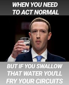 Mark Zuckerberg act normal