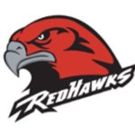 Martin Methodist Redhawks BEST