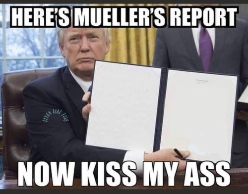 Mueller comedy 8
