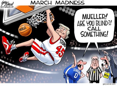 Mueller comedy basketball ref
