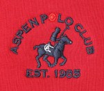 Aspen Polo Club