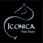 Iconica Polo