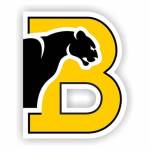 Birmingham Southern College Panthers