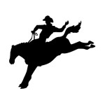 Connors State Cowboys BETTER