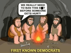 Democrats regulating fire