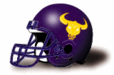 Texas College Steers helmet NEW