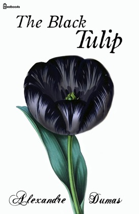 black tulip 2