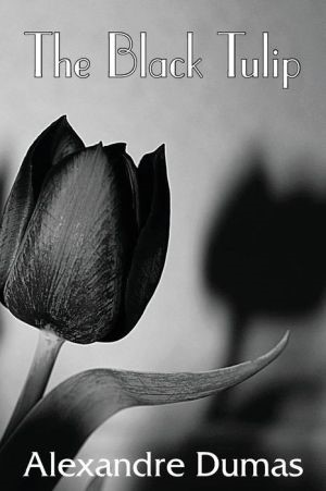 black tulip 3