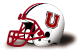 Union NY Dutchmen helmet