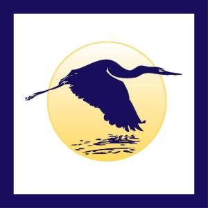Great Bay College Herons