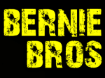 Bernie Bros