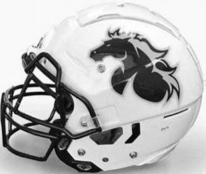 north american unviersity stallions